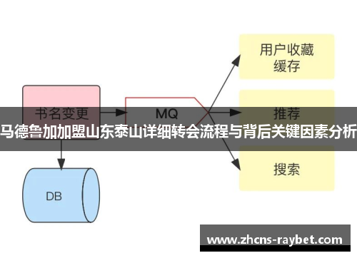马德鲁加加盟山东泰山详细转会流程与背后关键因素分析